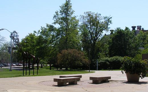 许多校友通过将一棵纪念树献给一位学生来支持和记棋牌娱乐植物园, 一位教授, 工作人员或亲人.
